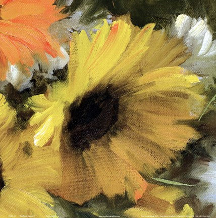 Sunflower Square II