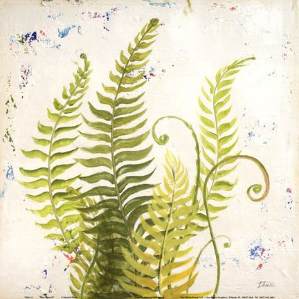 Nice Ferns II