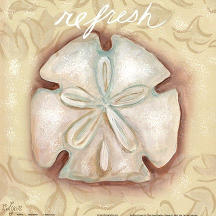 Sand Dollar