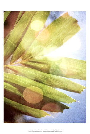 Tropical Daydream I