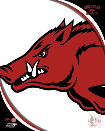 University of Arkansas Razorbacks Team Logo