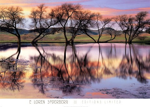 Lake Reflection