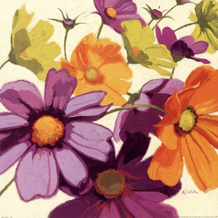 Cosmos I