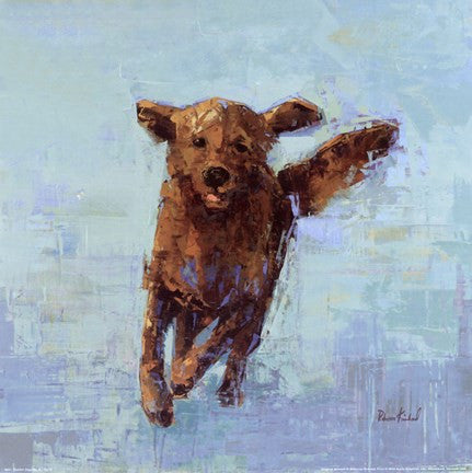 Golden Dog No.5