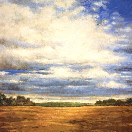 Tranquil Meadow