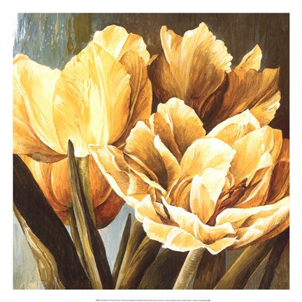 Floral Radiance II