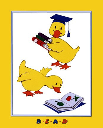 Ducks - Reading