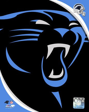 Carolina Panthers 2012 Team Logo