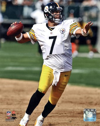 Ben Roethlisberger 2012 Action