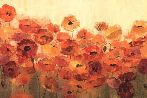 Summer Poppies