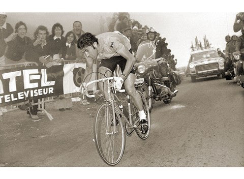 Merckx Dominates
