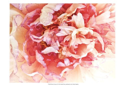 Monet's Peony II