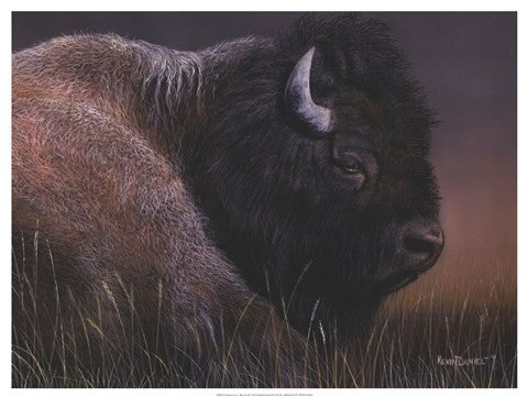 American Icon- Bison