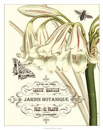Jardin Botanique I