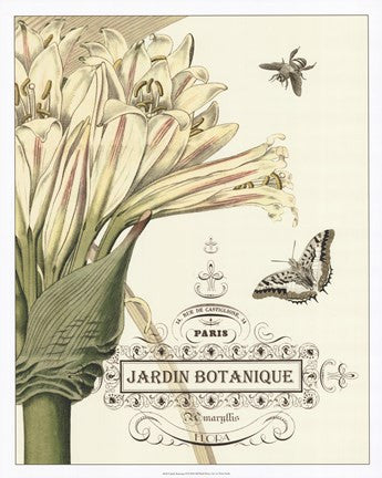 Jardin Botanique II