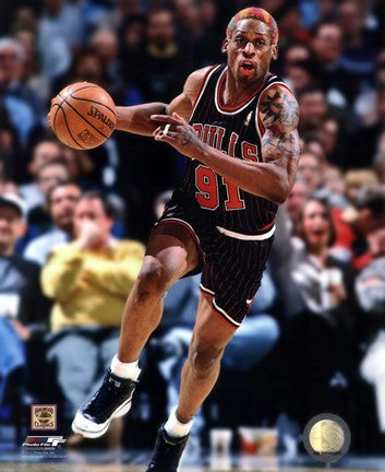 Dennis Rodman 1996-97 Action