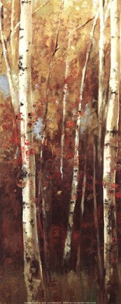 Birch Forest II - Mini