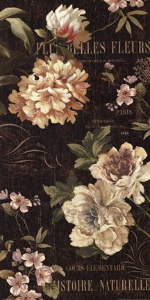 Fleurs Antique II