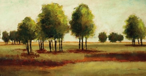 Luminous Landscape