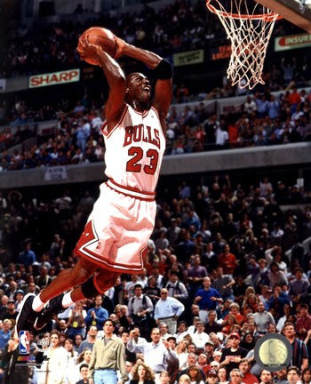 Michael Jordan 1994-95 Action