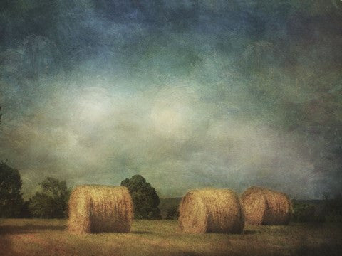 Hay Rolls