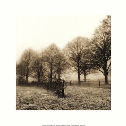 Fence Row and Trees