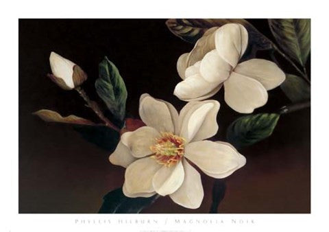 Magnolia Noir