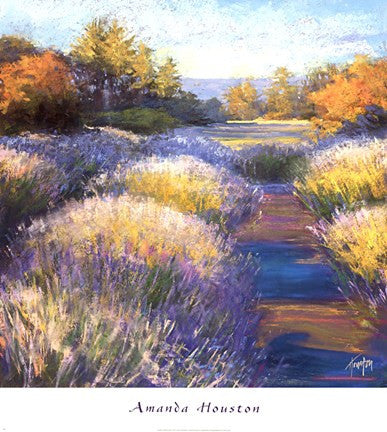 Lavender 2