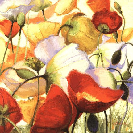 Poppies Up Close