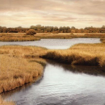 Morning Calm II
