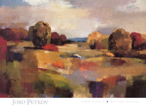 Field Study I