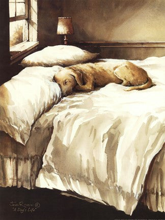 A Dog's Life