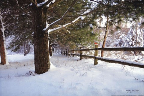 After The Snowfall