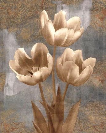 Tulip II