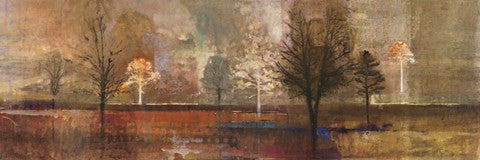 Tree Shadows I