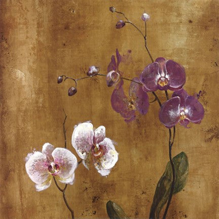 Orchid Bloom I