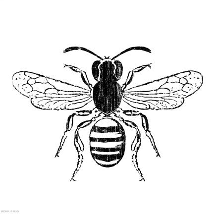 Bee