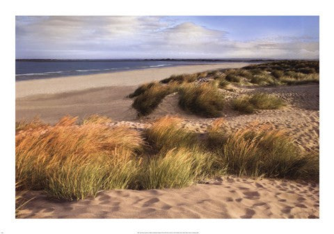 Sandy Shores