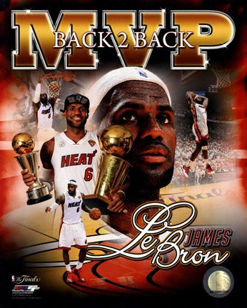 LeBron James 2013 NBA Finals MVP Portrait Plus