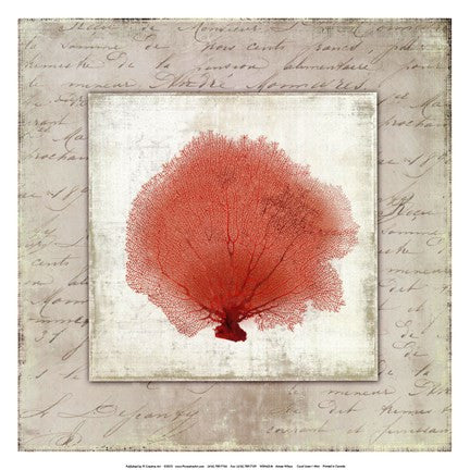 Coral Linen I - Mini