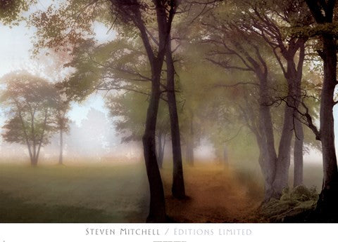 Misty Path