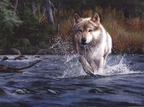 The Crossing