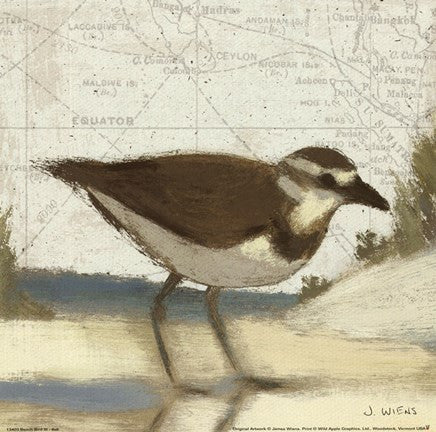 Beach Bird III