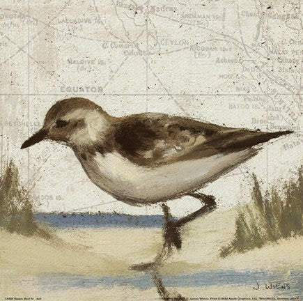 Beach Bird IV