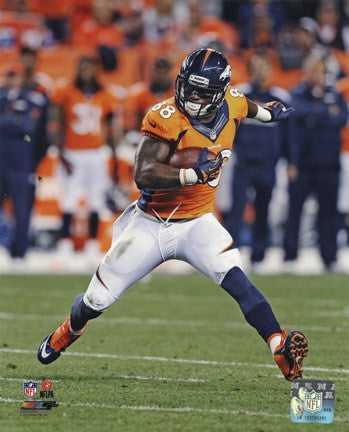 Demaryius Thomas 2013 catching the ball