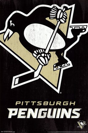Pittsburgh Penguins® - Logo13