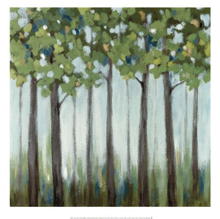 Tranquil View II
