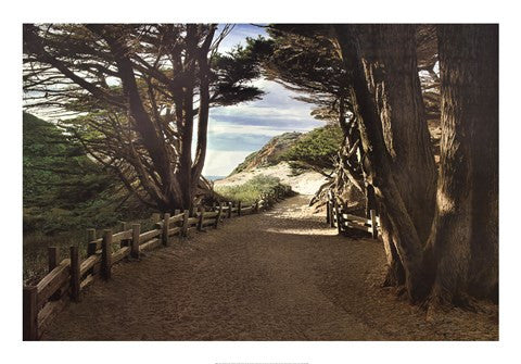 Big Sur