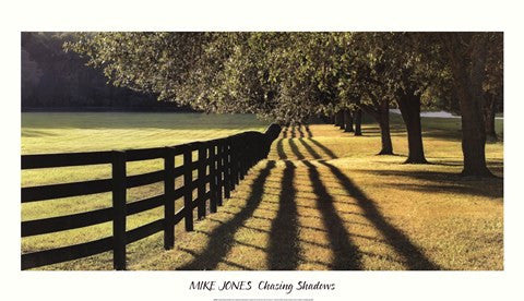 Chasing Shadows
