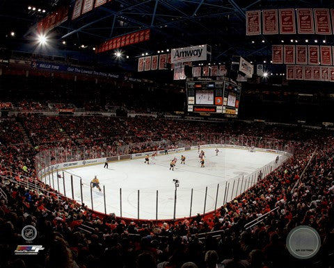 Joe Louis Arena 2013